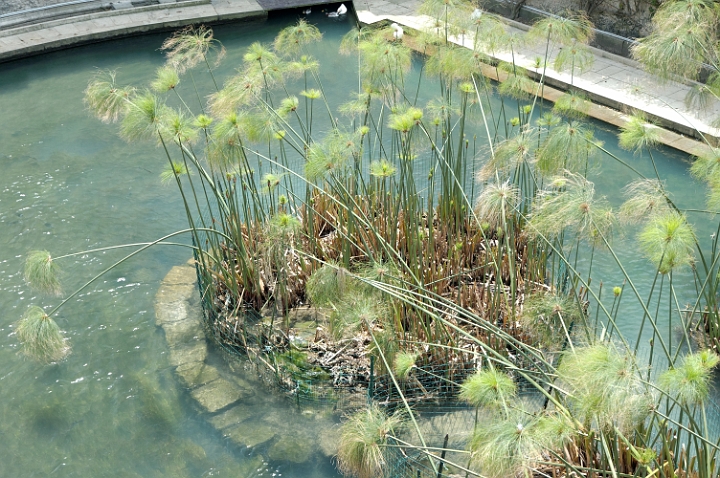 fontaine Arethuse.jpg